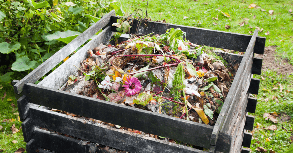 A compost bin full of organic materials including leaves, flowers, old vegetables and dirt. 